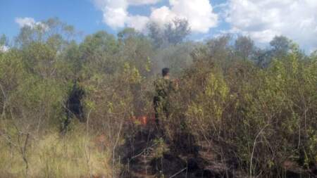 Incendio de malezas fue controlado en Posadas Incendio de malezas fue controlado en Posadas imagen-4