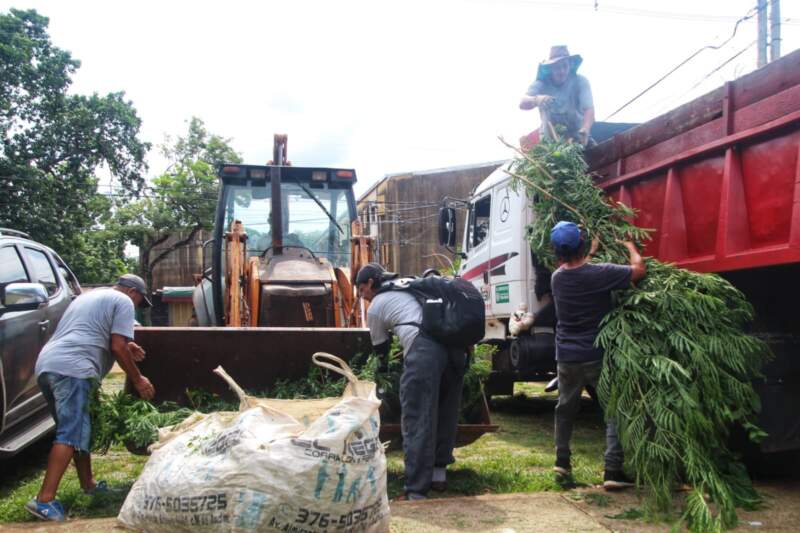 Posadas avanza con operativos sanitarios y de mantenimiento hacia el inicio de clases imagen-67