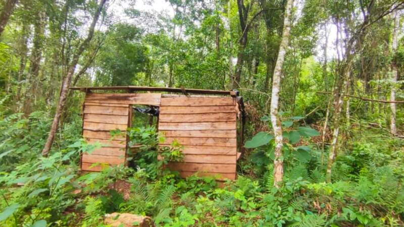 Intensifican operativos de control forestal en distintos municipios de la provincia imagen-2