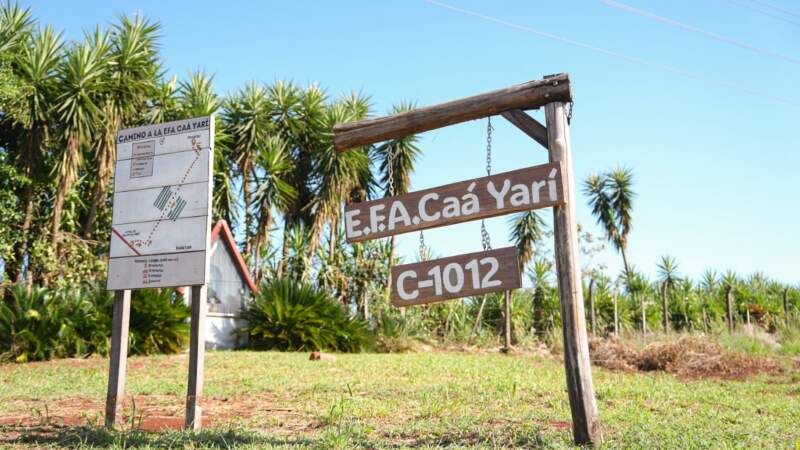 Passalacqua: “Misiones es la provincia con más EFAs del país y eso marca el espíritu del misionero que sabe caminar hacia adelante, con esfuerzo y en conjunto” imagen-30