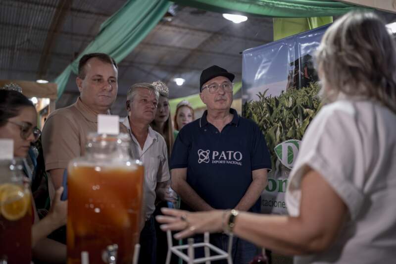 Fiesta Nacional del Té: "Es la Misiones que produce y trabaja", destacó Passalacqua en Campo Viera 7 Fiesta Nacional del Té: "Es la Misiones que produce y trabaja", destacó Passalacqua en Campo Viera imagen-6