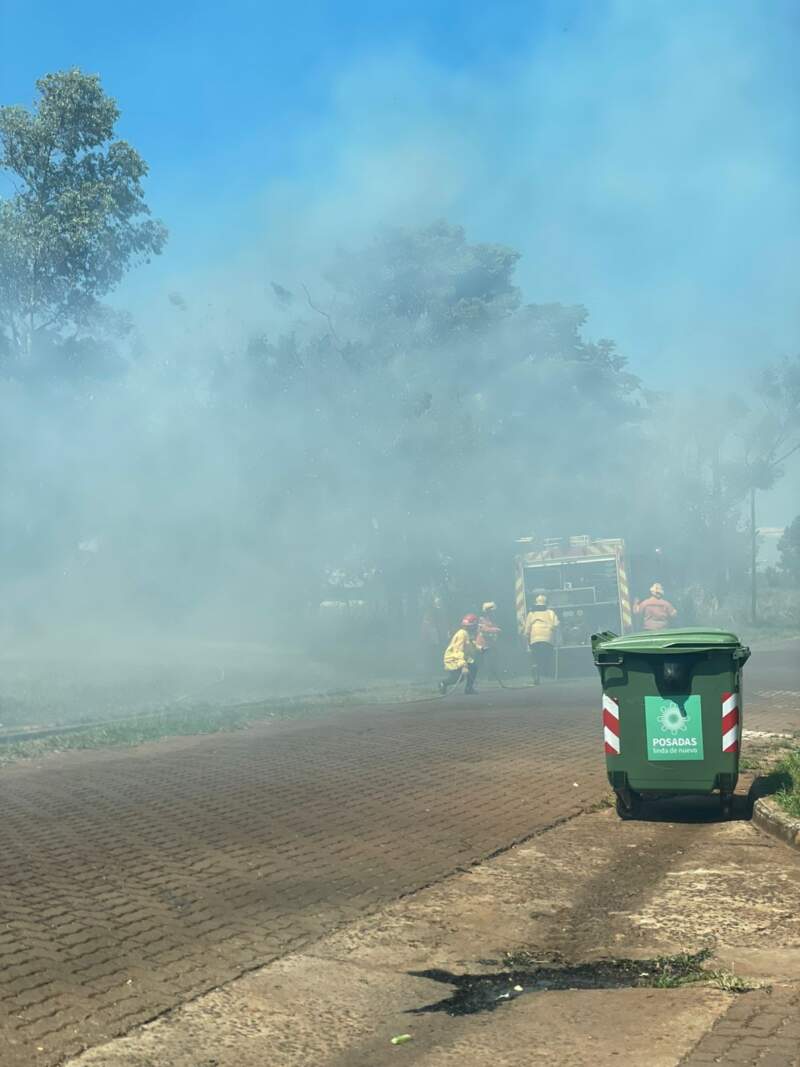 Bomberos sofocaron incendio de malezas en Posadas imagen-2