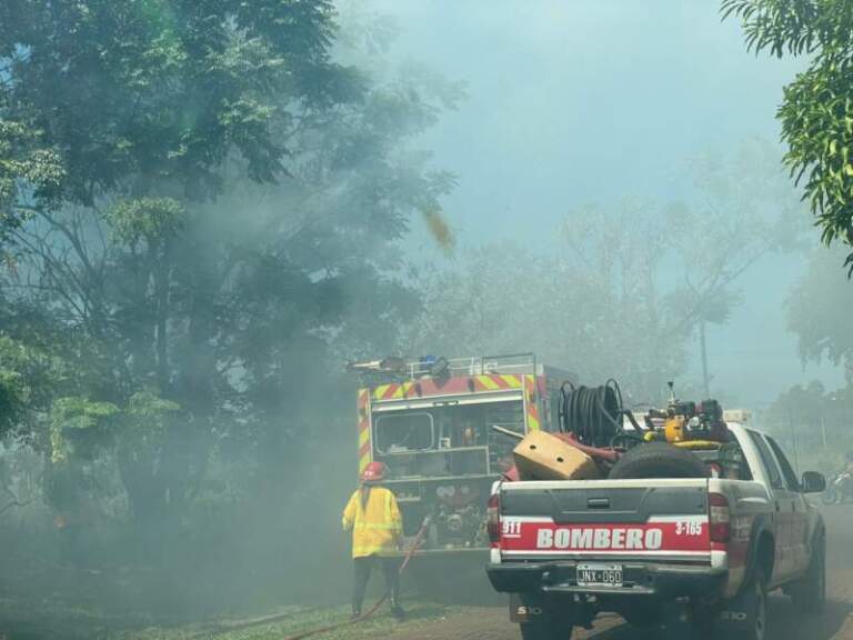 Bomberos sofocaron incendio de malezas en Posadas imagen-40