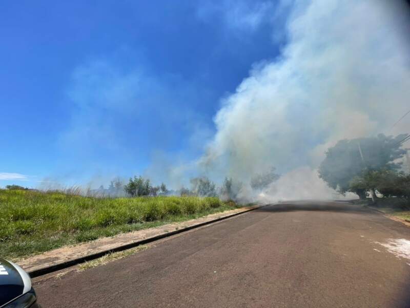 Bomberos sofocaron incendio de malezas en Posadas imagen-4