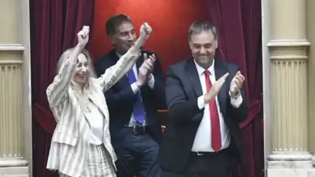 El Gobierno celebró el avance en Diputados de la reforma laboral imagen-11