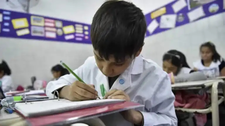 Crisis en lectura: solo el 45% de los alumnos alcanza el nivel esperado pese al aumento del 152% en el presupuesto de alfabetización imagen-39