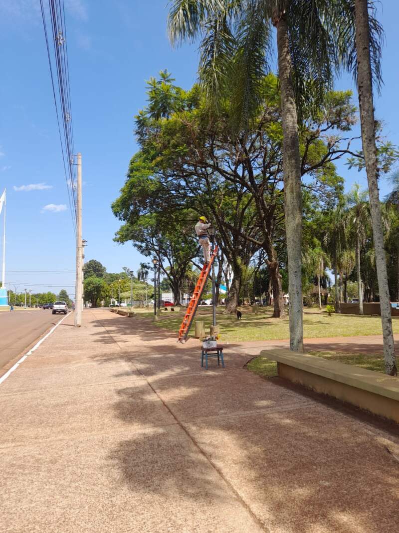 Energía: Mejoras del alumbrado público para Candelaria imagen-2