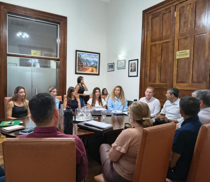 Legislatura: la Comisión Asesora avanzó en el ordenamiento institucional de Dos Hermanas 5 Legislatura: la Comisión Asesora avanzó en el ordenamiento institucional de Dos Hermanas imagen-4