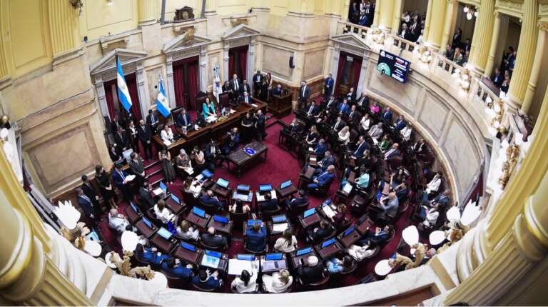 El Senado convirtió en ley el Régimen Penal Juvenil: la edad de imputabilidad baja a 14 años imagen-25