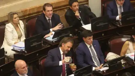 El Gobierno busca sancionar en el Senado la reforma laboral y Régimen Penal Juvenil El Gobierno busca sancionar en el Senado la reforma laboral y Régimen Penal Juvenil imagen-4