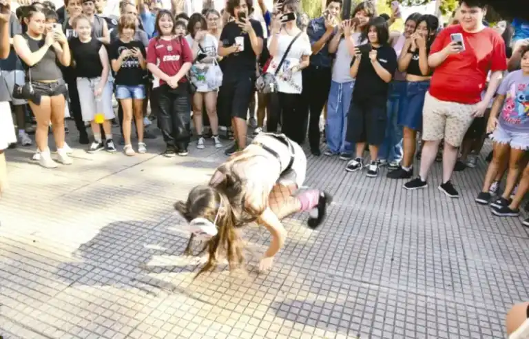 Encuentro therian en Posadas: testimonios sobre identidad, comunidad y formas de vincularse en el espacio público imagen-22