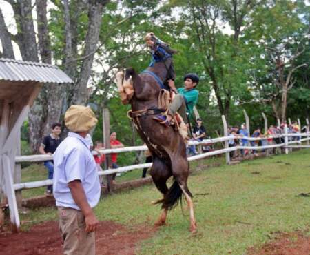La Agrupación Gaucha 9 de Julio realizará una jineteada nocturna con montas, sorteo y bailanta imagen-10