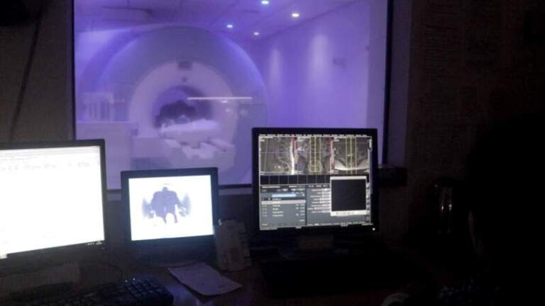 El Madariaga se posicionó como centro de referencia de atención de patologías neurológicas de alta complejidad imagen-34