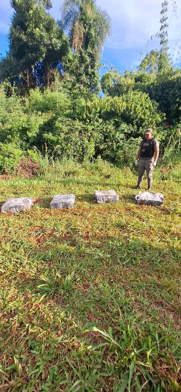 Gendarmes decomisaron 649 kilos de marihuana que fueron abandonados en la selva misionera imagen-12