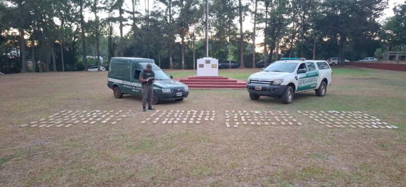 Gendarmes decomisaron 649 kilos de marihuana que fueron abandonados en la selva misionera imagen-8