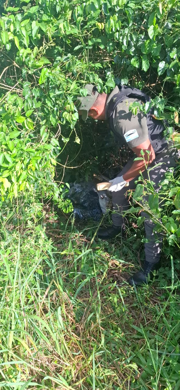 Gendarmes decomisaron 649 kilos de marihuana que fueron abandonados en la selva misionera imagen-10