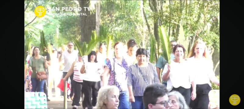 Domingo de Ramos: una celebración que interpela a vivir la fe sin ser espectadores imagen-6