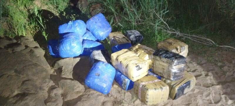 Gendarmes decomisaron 649 kilos de marihuana que fueron abandonados en la selva misionera imagen-2