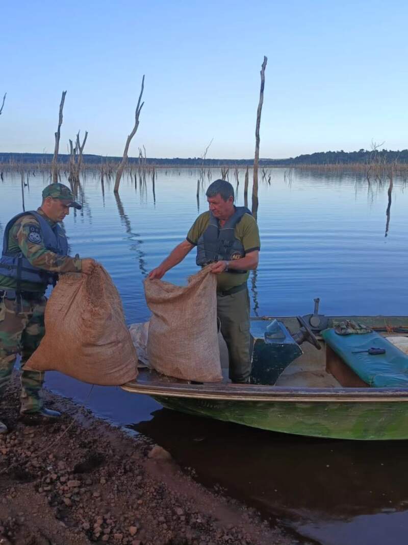 Desarmaron campamentos ocultos en la selva para caza y pesca furtiva y secuestraron casi 5 mil metros de redes imagen-4