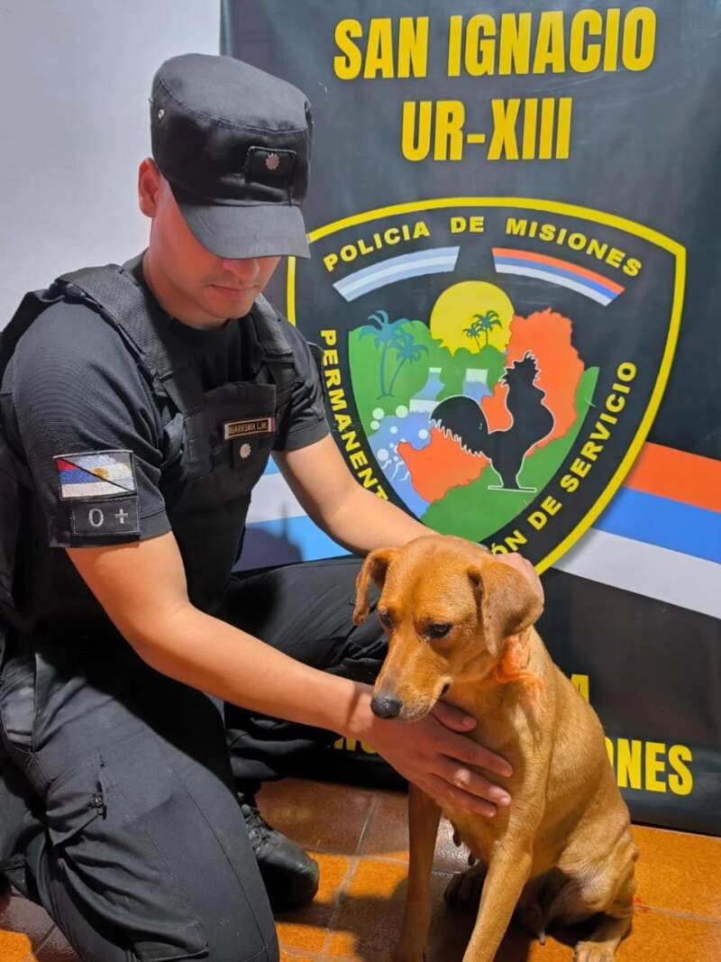 Detuvieron al hombre filmado arrastrando a un perro en San Ignacio: el hecho generó indignación y una rápida respuesta policial imagen-2