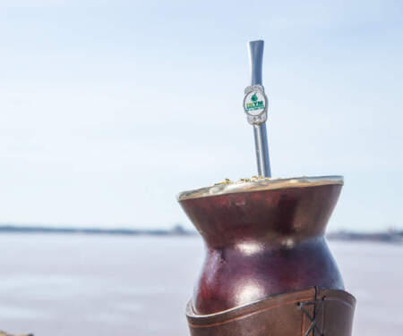 Las ventas de yerba mate superaron los 46 millones de kilos el primer bimestre imagen-11