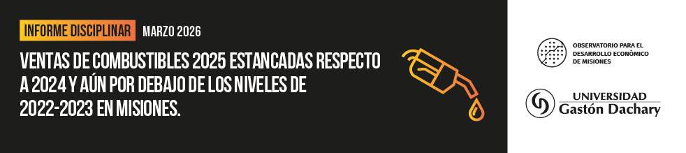 El mercado de combustibles en Misiones muestra estancamiento y leve caída en 2025 imagen-4