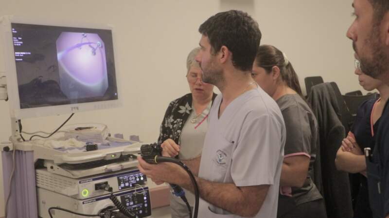 Con más de 17 mil pacientes en 2025, Gastroenterología del Madariaga fortalece la atención y suma profesionales imagen-5