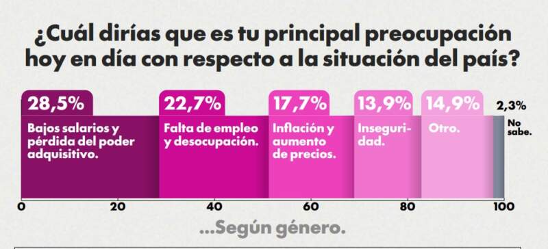 Encuesta 8M: según el género femenino, desde que asumió Milei aumentó la violencia hacia las mujeres 2 Encuesta 8M: según el género femenino, desde que asumió Milei aumentó la violencia hacia las mujeres imagen-1