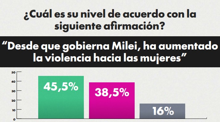 Encuesta 8M: según el género femenino, desde que asumió Milei aumentó la violencia hacia las mujeres 16 Encuesta 8M: según el género femenino, desde que asumió Milei aumentó la violencia hacia las mujeres imagen-15