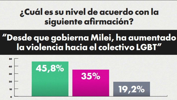 Encuesta 8M: según el género femenino, desde que asumió Milei aumentó la violencia hacia las mujeres 20 Encuesta 8M: según el género femenino, desde que asumió Milei aumentó la violencia hacia las mujeres imagen-19