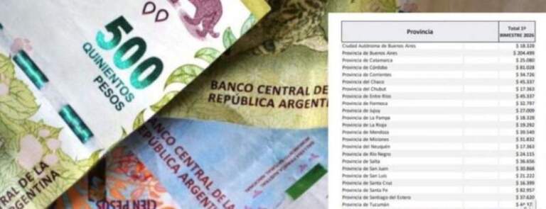 Sartori: “La caída de la coparticipación golpea fuerte a provincias y municipios” imagen-24