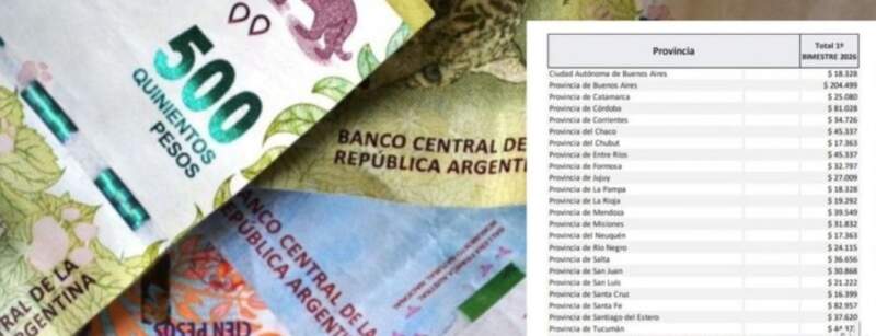 Sartori: “La caída de la coparticipación golpea fuerte a provincias y municipios” imagen-6