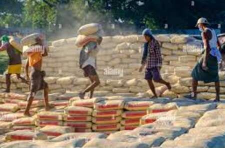 Deslomados (Caso Adorni) (Por Edmundo Fuster) imagen-5