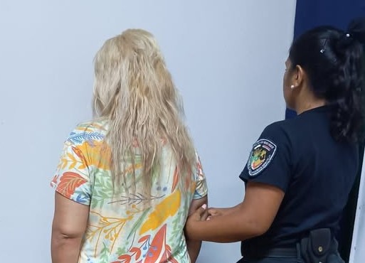 Niño alertó al 911 que una mujer agredía a su padre en Posadas imagen-12