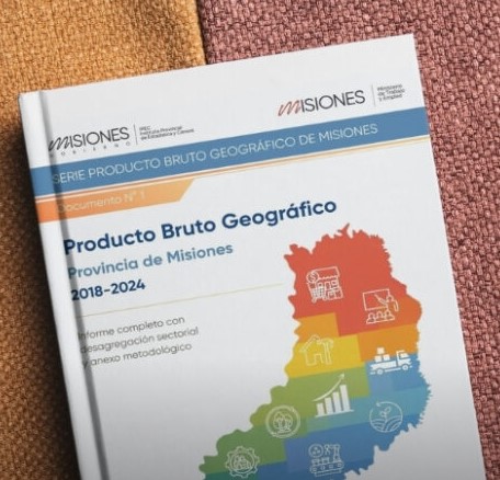 PBG: Misiones se consolida como la octava economía del país y líder en el NEA imagen-12