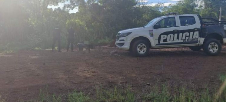 En San Vicente hallaron a una mujer sin vida en la vía pública imagen-12
