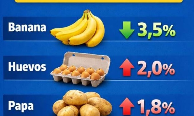 Relevamiento de precios Mercado Central: 10 productos que marcan la referencia semanal imagen-12