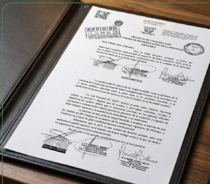 Diputado misionero pide revisar el sponsor de yerba mate en la Selección Argentina 5 Diputado misionero pide revisar el sponsor de yerba mate en la Selección Argentina imagen-4