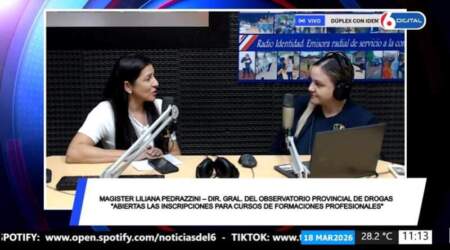 Abren inscripciones a cursos gratuitos en prevención de adicciones y cuidado de niños y anticipan un congreso con presentación de un mapa de riesgo en Misiones imagen-13