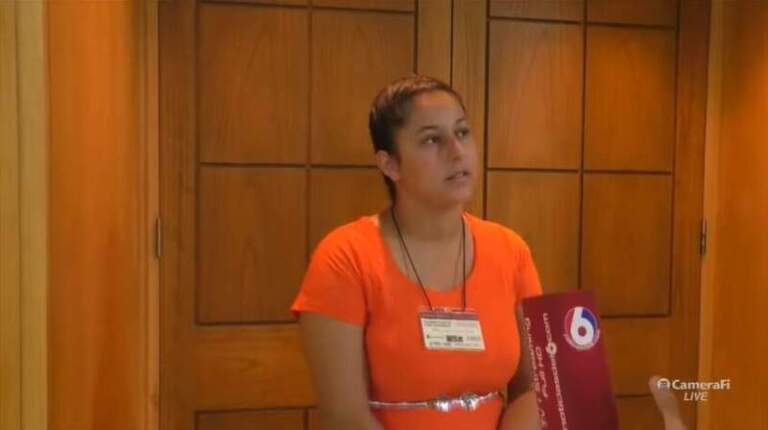 La productora Evelyn Díaz forma parte del libro “Sensibilidad y firmeza de la mujer rural misionera” con un testimonio sobre producción artesanal La productora Evelyn Díaz forma parte del libro “Sensibilidad y firmeza de la mujer rural misionera” con un testimonio sobre producción artesanal imagen-14