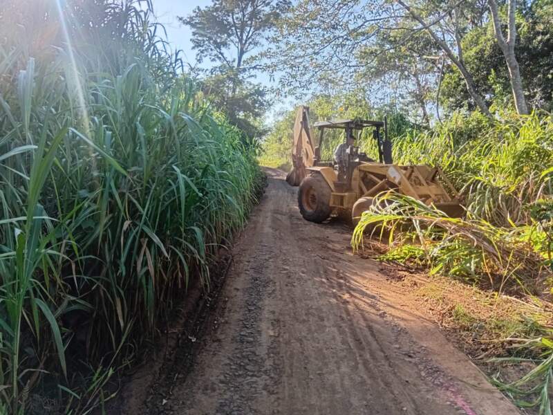 Vialidad de Misiones amplía la inversión en mantenimiento de rutas productivas imagen-3
