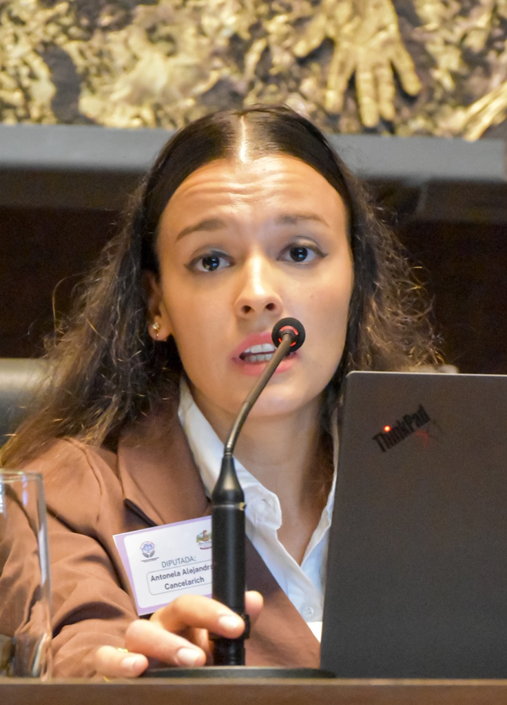 El Parlamento de la Mujer impulsó 40 proyectos con eje en la producción, la salud y la autonomía de las misioneras imagen-10