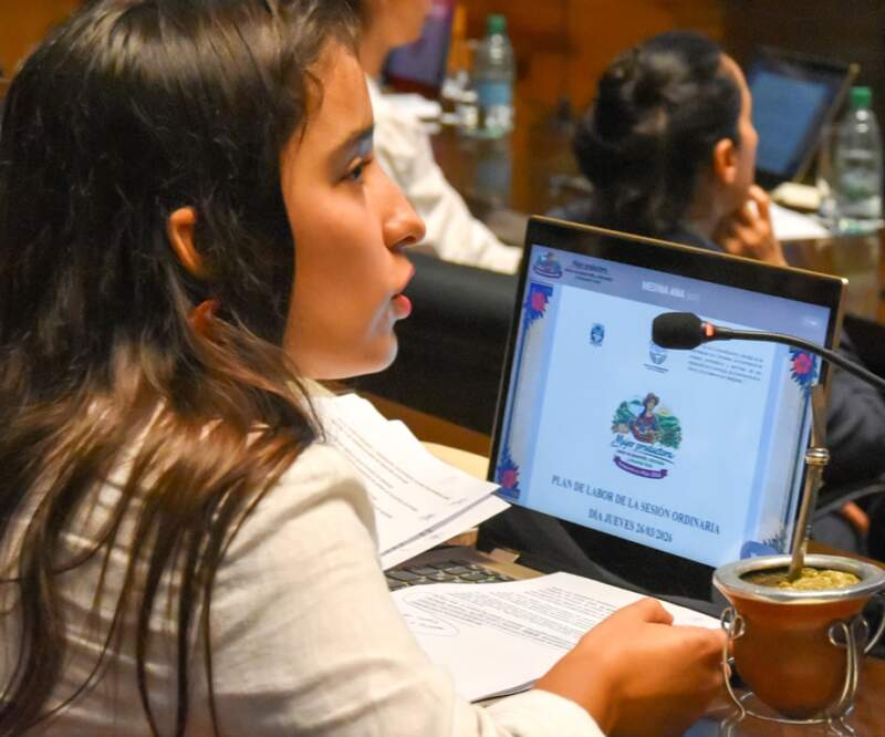 El Parlamento de la Mujer impulsó 40 proyectos con eje en la producción, la salud y la autonomía de las misioneras imagen-14