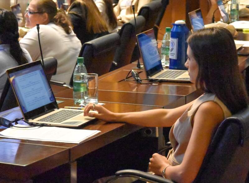 El Parlamento de la Mujer impulsó 40 proyectos con eje en la producción, la salud y la autonomía de las misioneras imagen-12