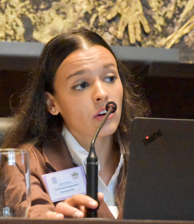 El Parlamento de la Mujer impulsó 40 proyectos con eje en la producción, la salud y la autonomía de las misioneras imagen-8