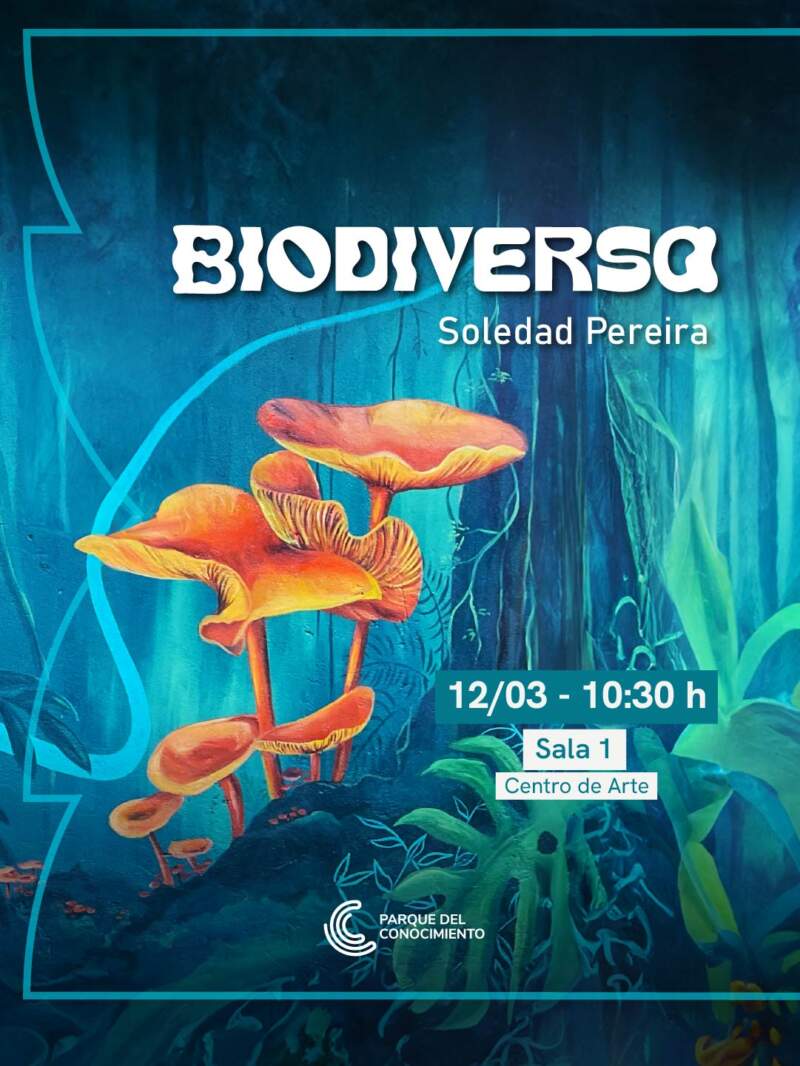 Biodiversa: naturaleza y territorio en la obra de Soledad Pereira imagen-1