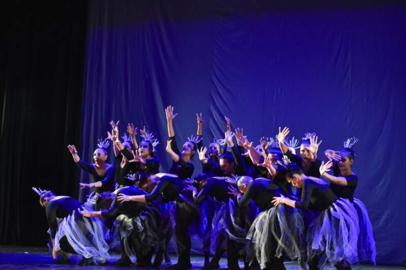 La danza en movimiento: el Parque del Conocimiento inicia sus talleres para adultos imagen-8