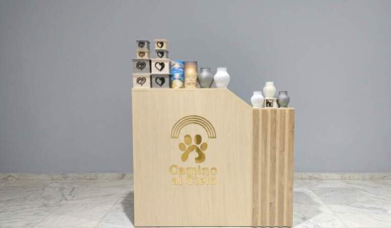 Camino al Cielo: el crematorio exclusivo para mascotas que funciona en Posadas con atención las 24 horas, traslado, sala de despedida y entrega de urnas imagen-24