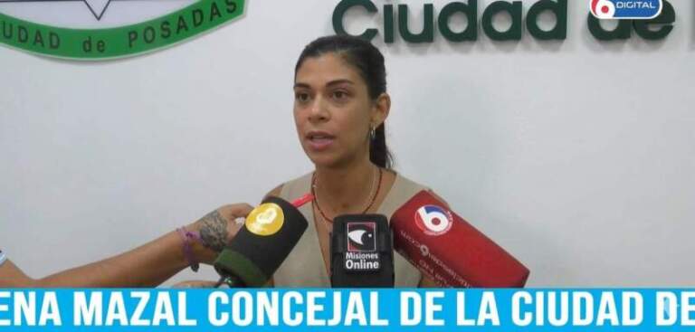 Concejo Deliberante de Posadas avanza en la actualización de una ordenanza para garantizar traslado seguro y acompañamiento de personas con discapacidad imagen-7