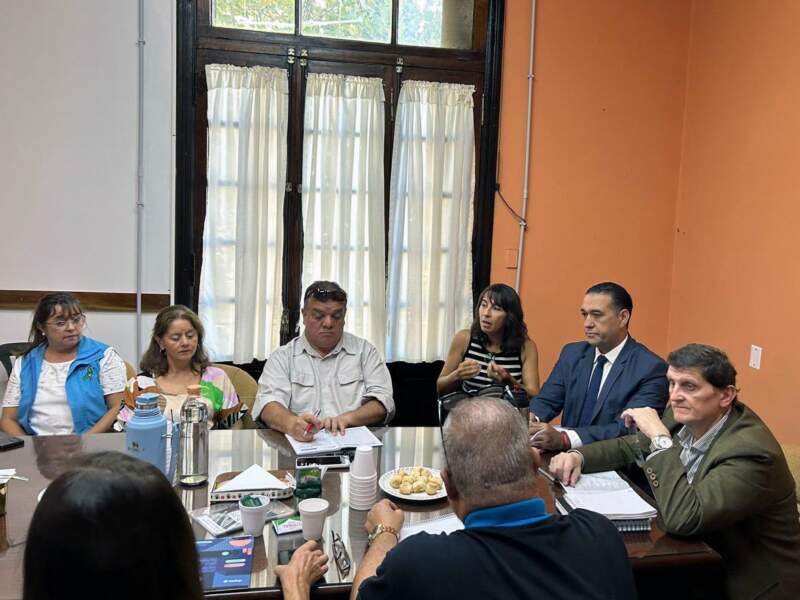 Se realizarán Mesas Técnicas Previsionales para responder a inquietudes de los sectores gremiales 7 Se realizarán Mesas Técnicas Previsionales para responder a inquietudes de los sectores gremiales imagen-6